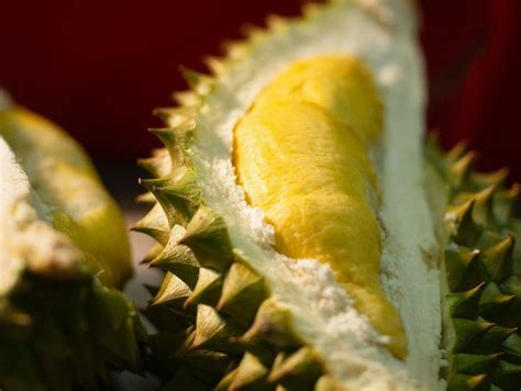 Arti mimpi makan durian hambar  Kalaupun memberi rezeki, akan mendapat rezeki lebih banyak, tapi sayangnya rezeki yang dihasilakn tidak halal